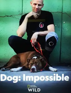 Собака: Невозможное возможно (сериал 2019)